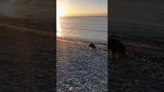 Bagno in mare di primo mattino