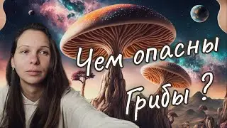 Грибы. Чем они опасны? Другая цивилизация? Иная форма жизни?