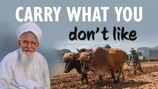 Carry what You don't Like