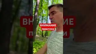 Делай каждый день. Работа с вниманием 💎 #практика #медитация #осознанность #мастер