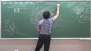ĐẦU-MẶT-CỔ: NHÃN CẦU -  (3) ÁO MẠCH