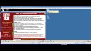 Demonstration of WannaCry Ransomware Infection (non-tech)