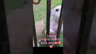 A DAY OF MY LIFE, IM SO LUCKY