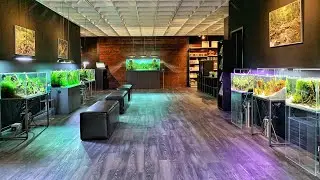 Beautiful Aquascape and Shrimp Aquarium Store - Garnenlenhaus