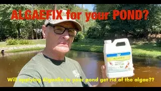 Will Algaefix get rid of my pond algae?