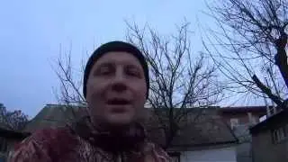Осенняя обрезка деревьев.