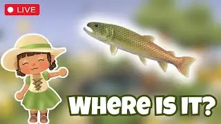 HONEYLAND! Need a Stringfish AND a Villager!!! Bye Marcie!!!