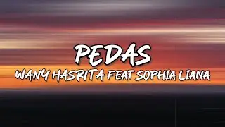 Wany Hasrita - Pedas (feat Sophia Liana) Lirik