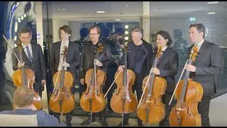 Cello Gipfel 2023