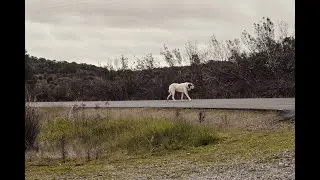 Historias de carretera.