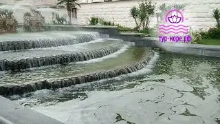 Фонтан Грифоны, г.Сухум