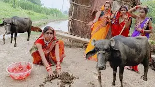शहरी दुल्हन गांव में आई तो चश्मा लगाकर घर का सारा काम करती थी। भैंस और गाय खिलाती जेठानी देखकर जलने।