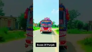 Padana transport 5640||Shakargarh Buses||Punjab Buses
