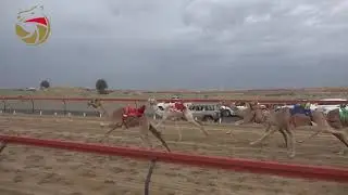 شارة الشيخ محمد بن راشد للفطامين الطي 21-3-2020 ش9 وصايف لـ عبدالعزيز راشد مسعود الطنيجي 