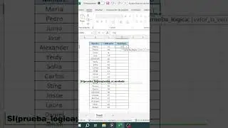 Función SI en Excel