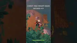 HIDDEN CHEST you might have missed #11 | Genshin Impact 