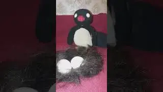 подстригайте гнезда