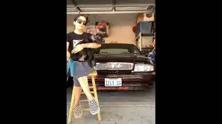 😎 I am a big kid now Cute baby to Adult Animals dogs group #short video 🔥🔥
