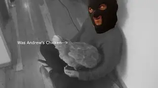csgo potatos & chickens