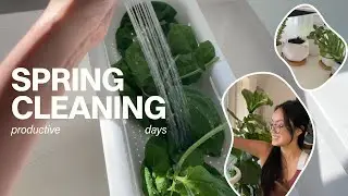 sunday reset | plant renewal & crop harvest