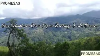 LEJOS DE MI TIERRA Promesas