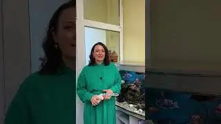 Экскурсия по логопедическому центру