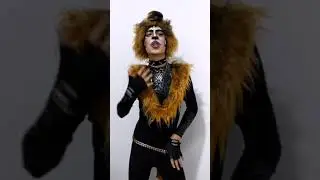 ENTRE TANGOS Y GATOS!!