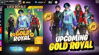 TONIGHT UPDATE + NEW GOLD ROYAL (OB43)