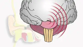 Typical hearing