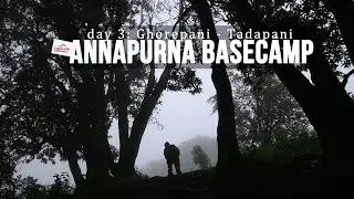 Annapurna Base Camp - Day 3 : Ghorepani - Tadapani