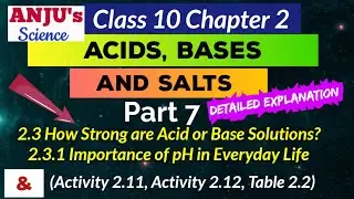 Part 7 How Strong are Acid or Base Solutions || Importance of ph in everyday life Class 10 Science
