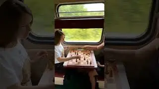 Шахматы в поезде 