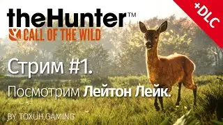 theHunter: Call of the Wild. Стрим №1. Смотрим Лейтон Лейк.