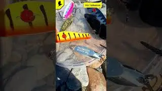 Приманки на тайменя А вы ловили тайменя? 
