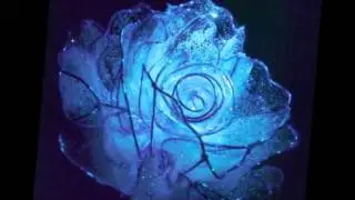 Crystallised Beauty - Philip Sheppard