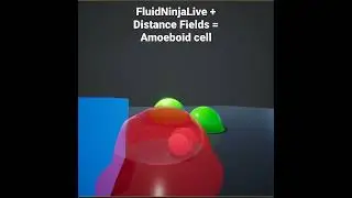 Real time Amoeboid cell with the help of FluidNinjaLive and distance fields. 