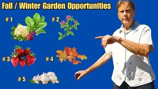 Fall / Winter Garden (5 must see opportunities) Zone 8a