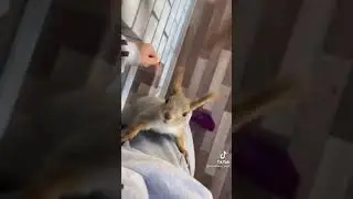 ВАЙ МАМА КТО ЭТА👽 #shorts