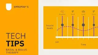 Omnipod® - Basal & Bolus Therapy