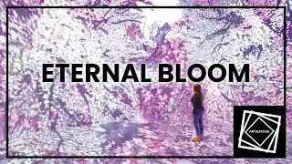 ETERNAL BLOOM | History of Cherry Blossom Celebration at ARTECHOUSE