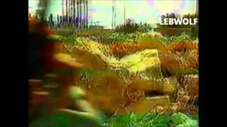 Lebanese Army Mghaweer Sareyet el Saddem