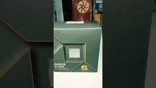 Ryzen 5 8500g 8th gen amd processor overview