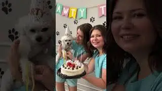 Любимые пижамки