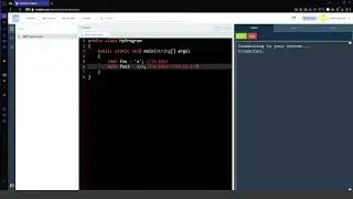 Java Primitives | AP CS A Series