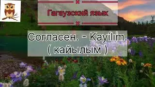 TEKLİF CUVABI/ответ на приглашение
