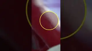 Sharp Door Ding Dent - PDR Example 