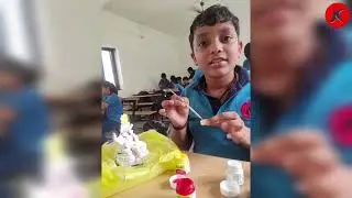 GANPATI CELEBRATION 2022