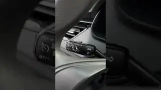 Rapid 2020