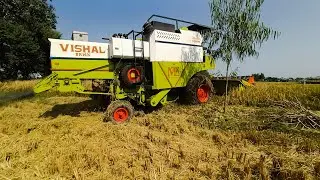 Vishal Combine Harvester Amazing Work | Wheat Harvesting | Pendu Mastlyf