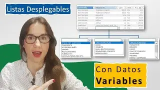 ✅Create a DROP-DOWN LIST in EXCEL with DATA that VARY depending on what a cell has